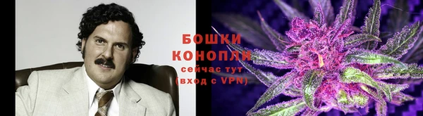 крисы Балабаново