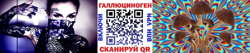 купить закладку Буйнакск даркнет официальный сайт Псилоцибиновые грибы ЛСД