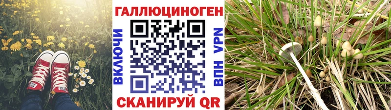 Псилоцибиновые грибы Magic Shrooms Буйнакск