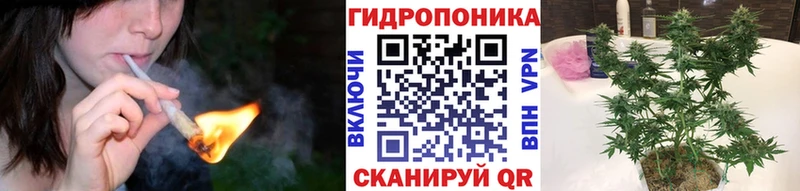 Каннабис план Буйнакск